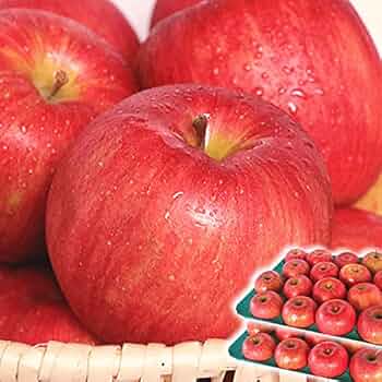 ❣️大特価❣️青森県産　シナノゴールド約10キロ 🍎強運を引き寄せるシナノゴールド🍎高糖度×柑橘系の酸味で富裕